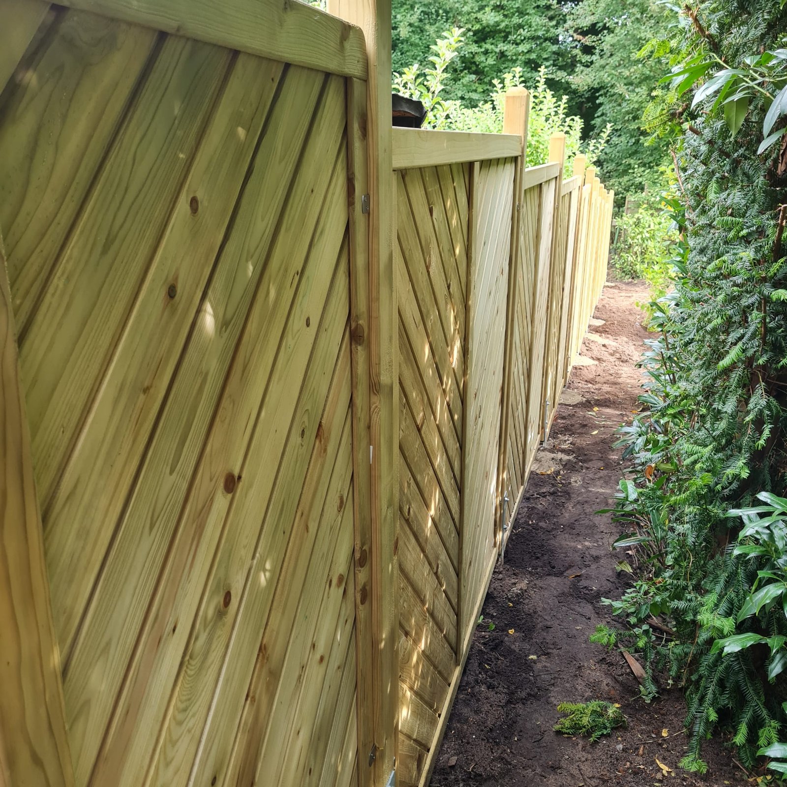 Sichtschutzzaun aus senkrechten Holzlatten entlang eines Gartenwegs